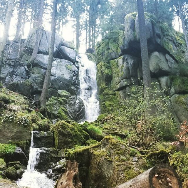 Wasserfall im Wald Eckhart Tolle Blog baumfrei