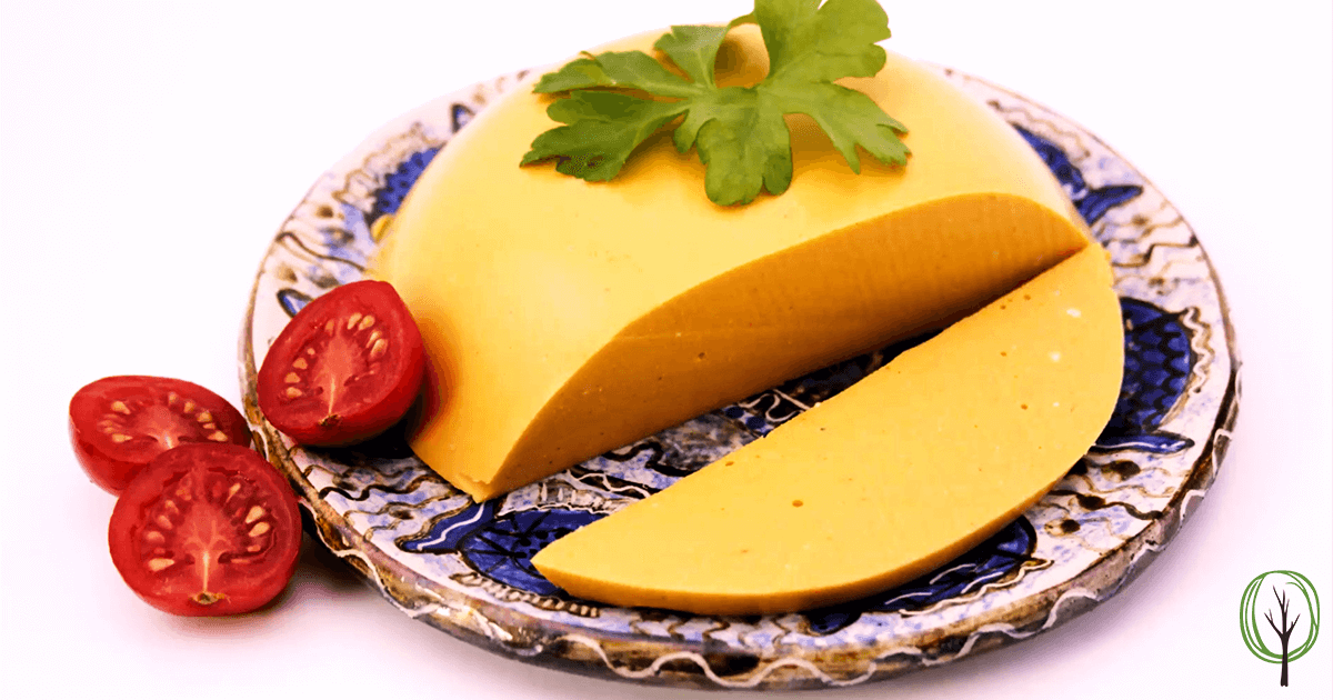 Veganen Kase Selbst Machen Rezept Fur Pflanzlichen Sojafreien Kase