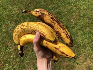 Bananen mit vielen braunen Stellen baumfrei